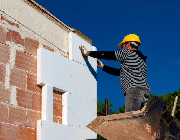 Best Cellulose Insulation in Guadalupe, AZ