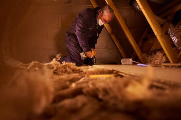 Best Insulation Maintenance and Repair in Guadalupe, AZ